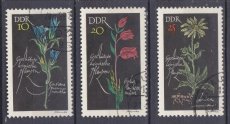 DDR 1242 1244, g1