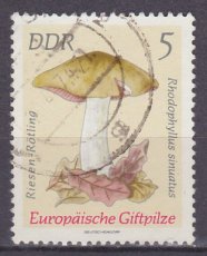 DDR 1933, g1