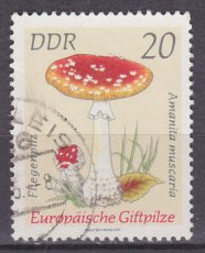 DDR 1936, g1