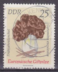 DDR 1937, g1