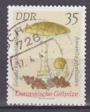 DDR 1939, g1