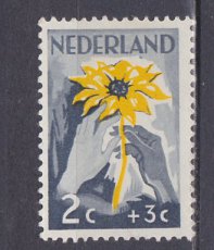 NED 0538, o1