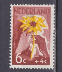 NED 0539, g1