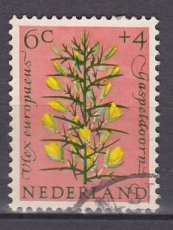 NED 0739, g1