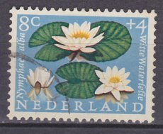 NED 0740, g1