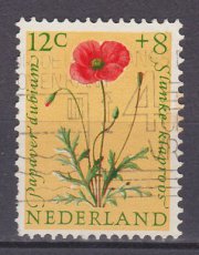 NED 0741, g1