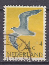 NED 0752, g1