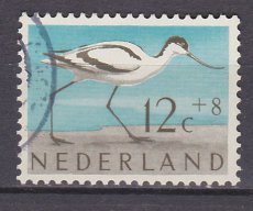 NED 0755, g1