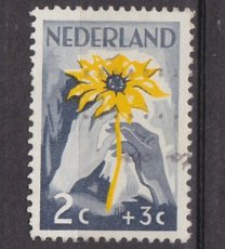 NED 0538, g1