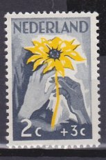 NED 0538, p1