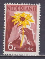 NED 0539, o1