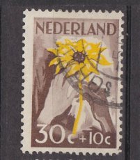 NED 0541, g1