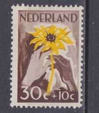 NED 0541, o1