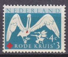 NED 0695, o1