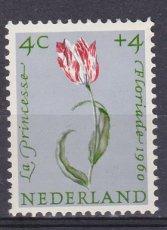 NED 0738, p1